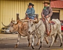 Longhorn Steer Riders