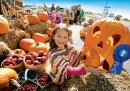 Pumpkin Carving Contest, New Brunswick, Canada
