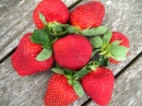 Strawberries on the Picnic Table