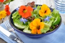 Fresh Summer Salad with Nasturtium