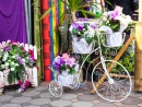 White Bicycles With Flowers