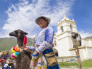 Quechua Indian Woman with a Llama