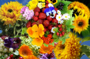 Bright Summer Flowers and Berries