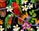 Exotic Birds and Tropical Flowers