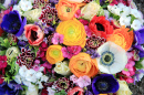 Bouquet with Ranunculus and Anemones