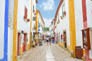 Cobbled Street in Óbidos, Portugal